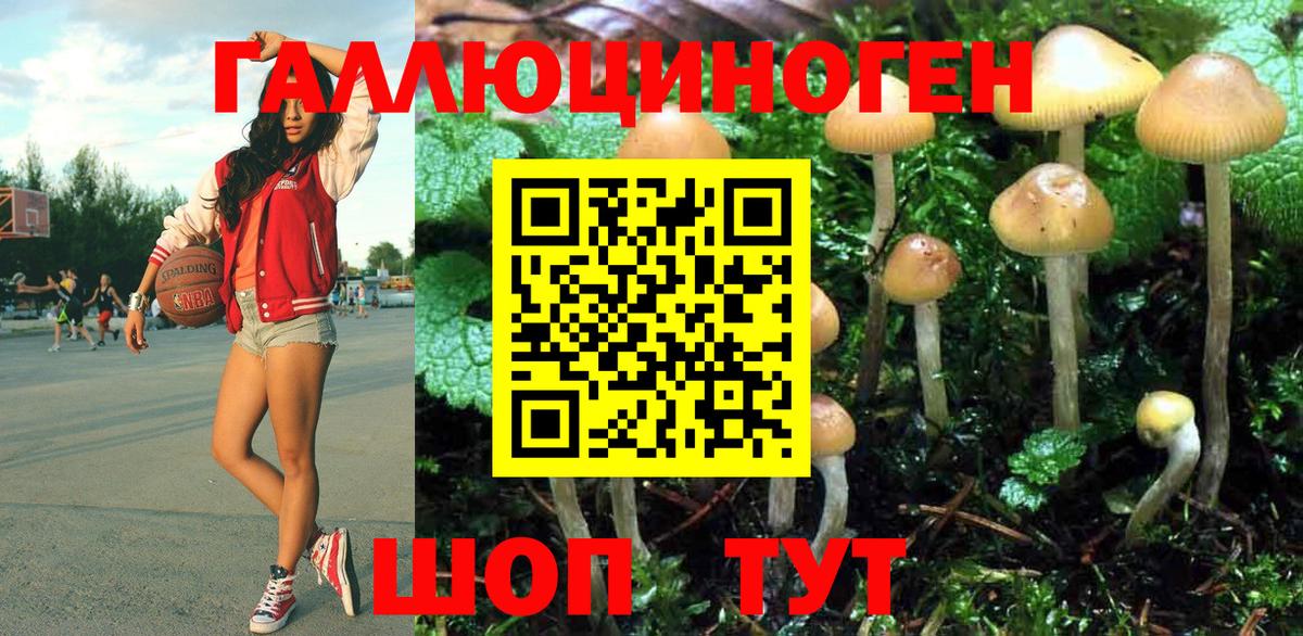 Псилоцибиновые грибы Psilocybe Ноябрьск