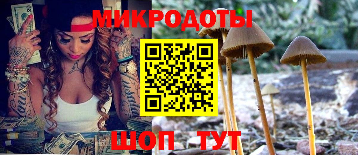 Псилоцибиновые грибы ЛСД  Галлюциногенные грибы ЛСД  Вход с VPN  Ноябрьск 